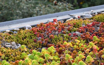 the cost of Great Mitton green roof installation