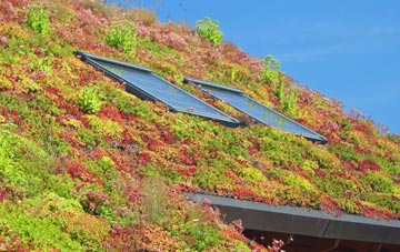 Great Mitton living roof systems